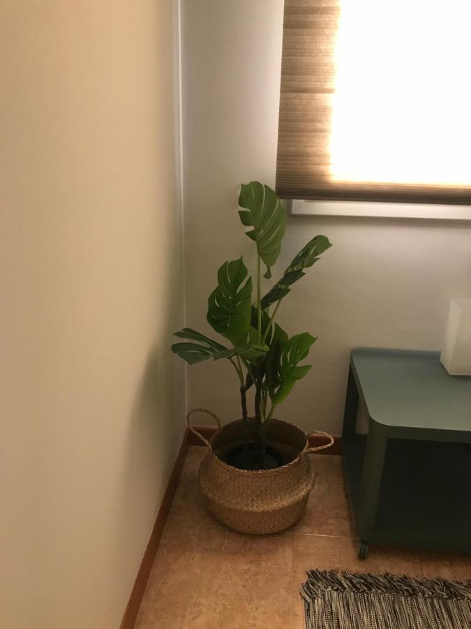 Apartamento Recien Reformado Con Vistas Al Rio Balaguer Exterior foto